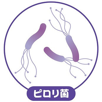 そもそも ピロリ菌って？